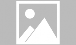 深圳南山杨先生最新爆料,揭秘事件背后惊人真相