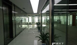 深圳办公楼爆料视频最新,揭秘职场生存真相